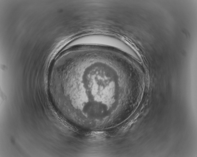 X0000090910055200708061530