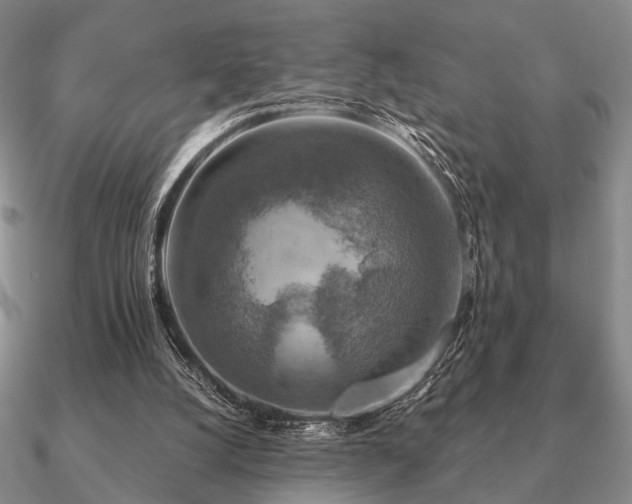 X0000090910056200708061530