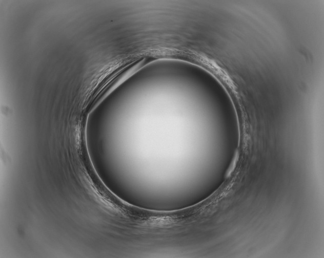 X0000090910057200708061530