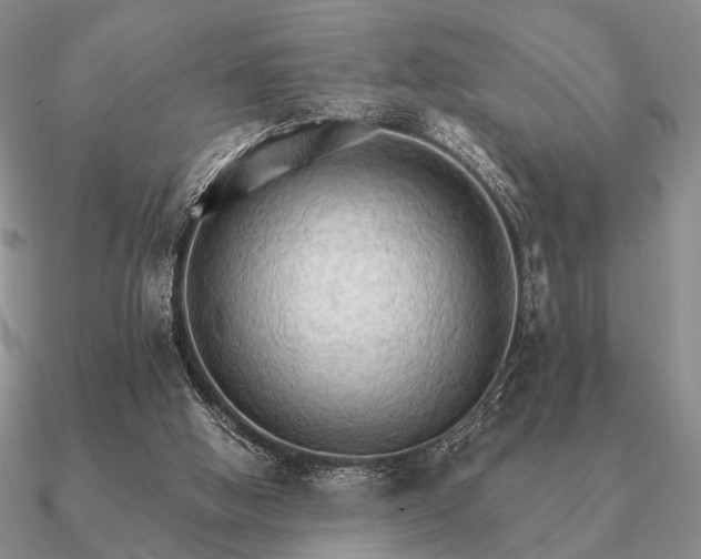 X0000090910058200708061530