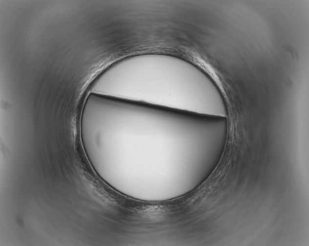 X0000090910059200708061530