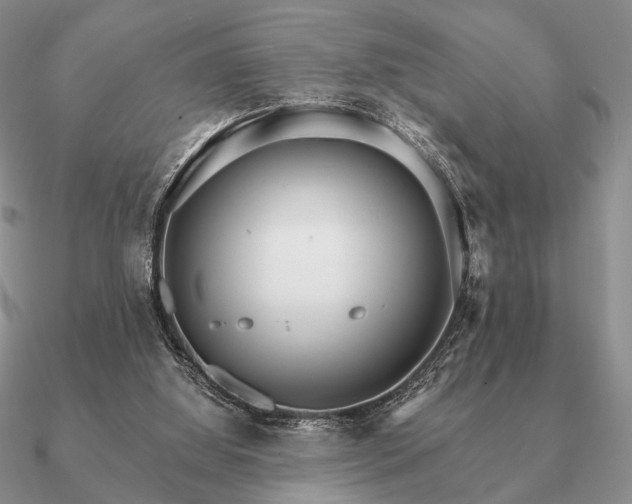 X0000090910060200708061530