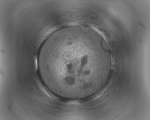 X0000090910061200708061530