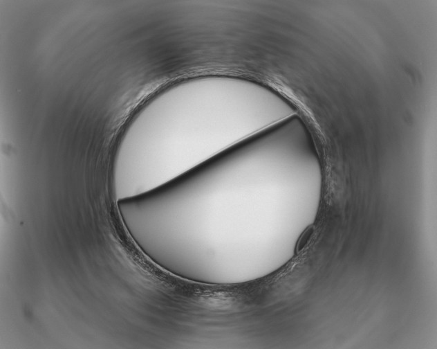 X0000090910062200708061530