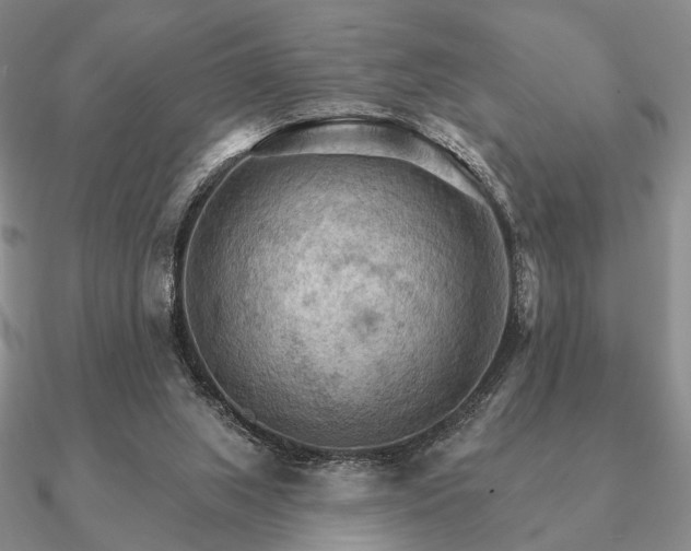 X0000090910063200708061530