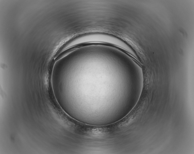 X0000090910064200708061530