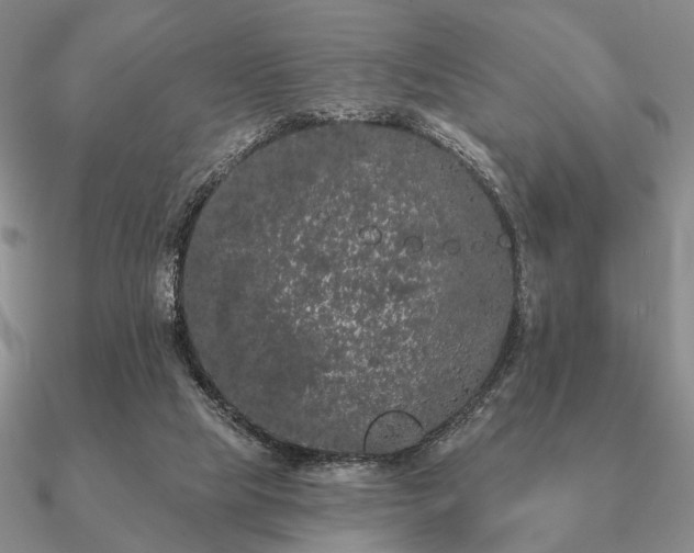 X0000090910065200708061530