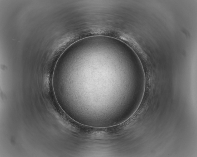 X0000090910066200708061530