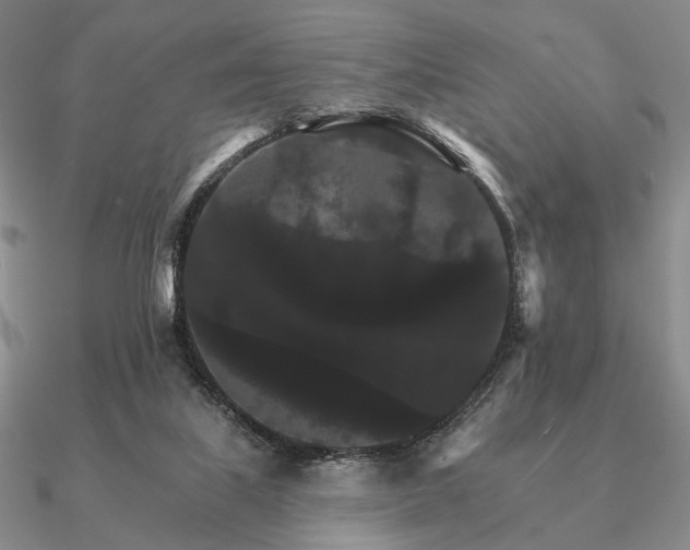 X0000090910067200708061530