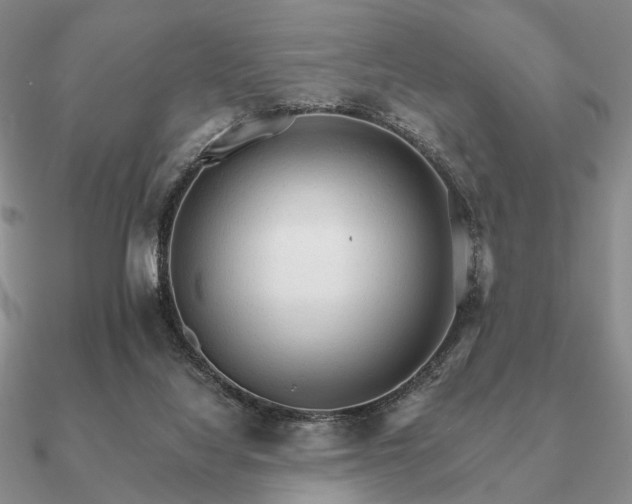 X0000090910068200708061530