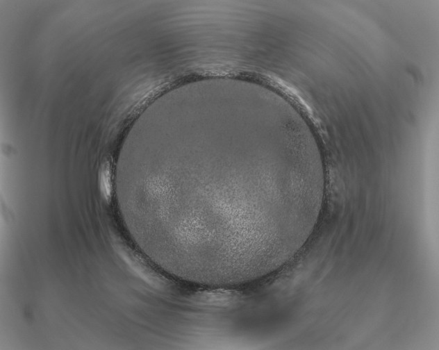 X0000090910069200708061530