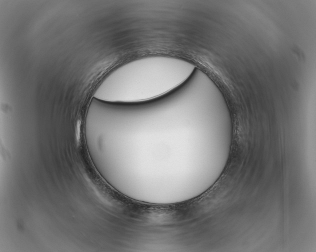 X0000090910070200708061530