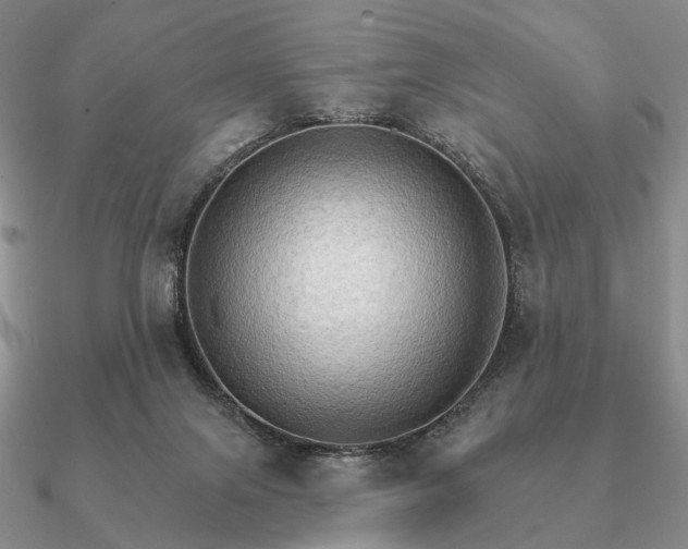 X0000090910071200708061530