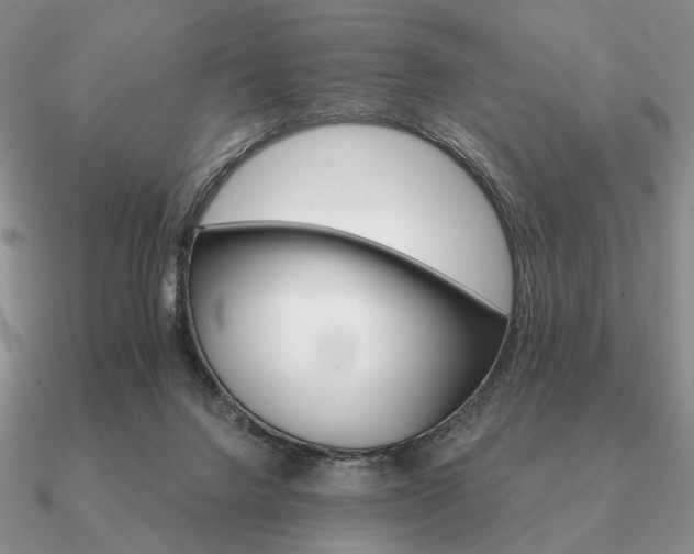 X0000090910072200708061530