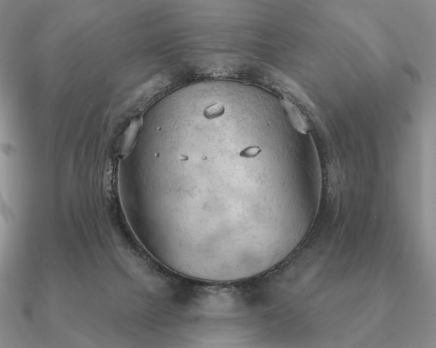 X0000090910073200708061530