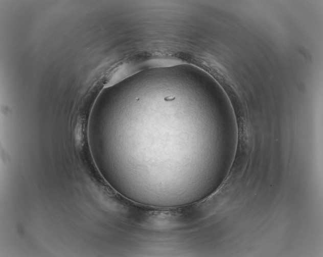 X0000090910074200708061530