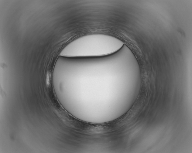 X0000090910075200708061530