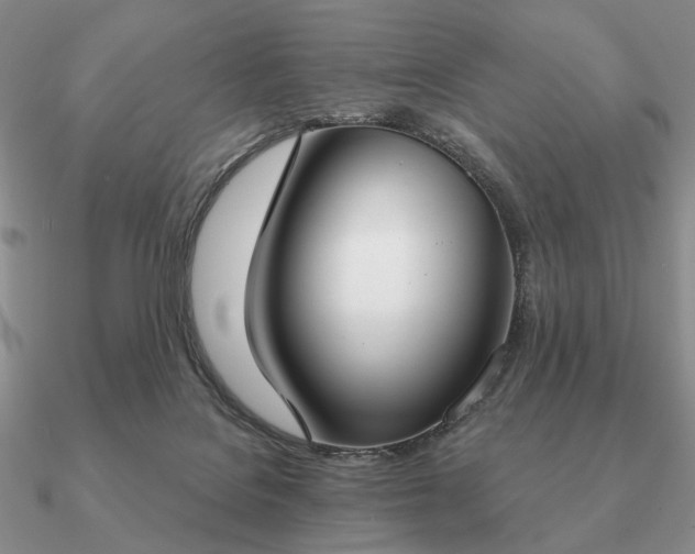 X0000090910076200708061530