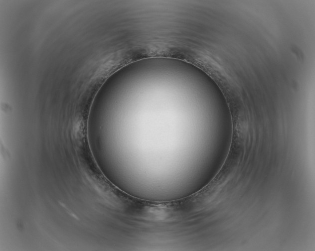 X0000090910079200708061531