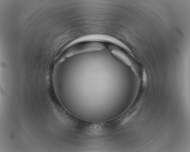 X0000090910080200708061531