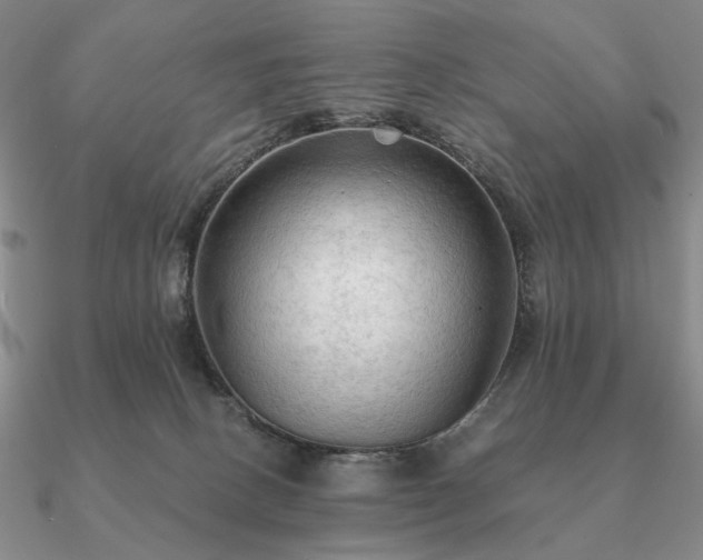 X0000090910082200708061531