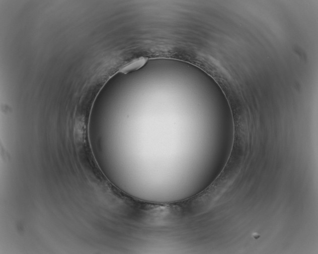 X0000090910083200708061531