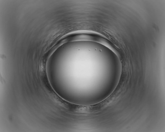 X0000090910084200708061531