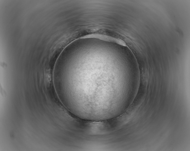 X0000090910085200708061531