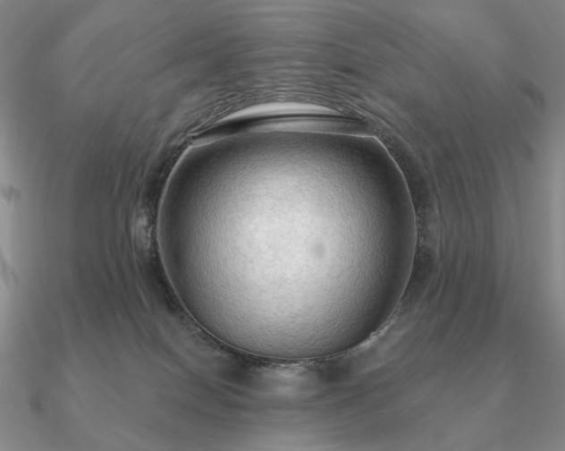 X0000090910086200708061531