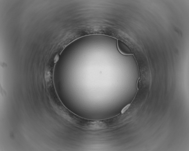 X0000090910087200708061531