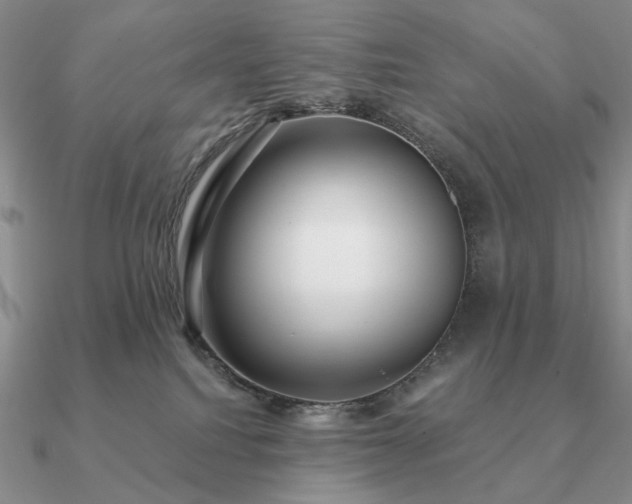 X0000090910088200708061531