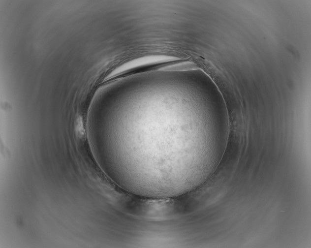 X0000090910089200708061531