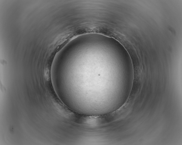 X0000090910090200708061531