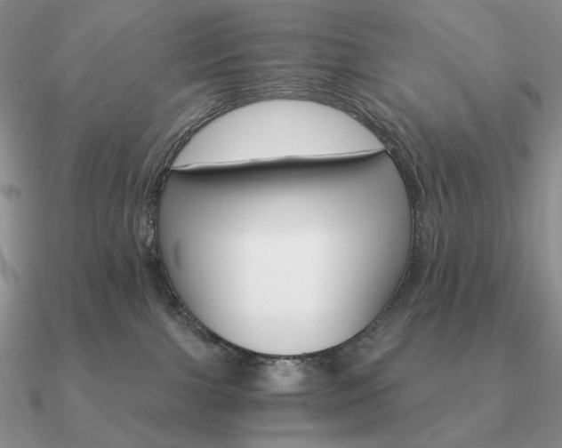 X0000090910091200708061531