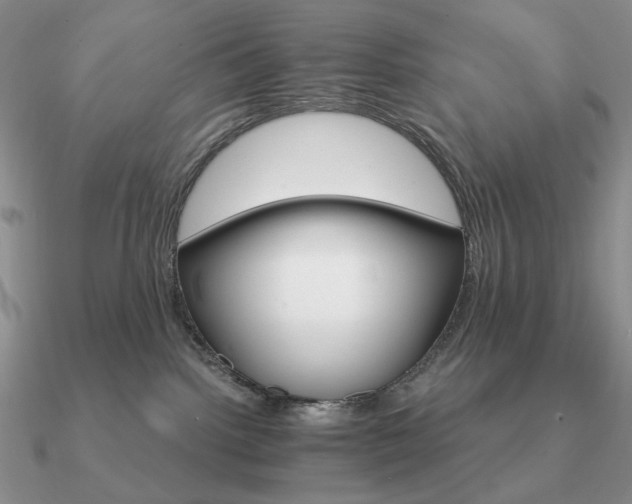 X0000090910092200708061531