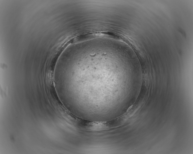 X0000090910093200708061531