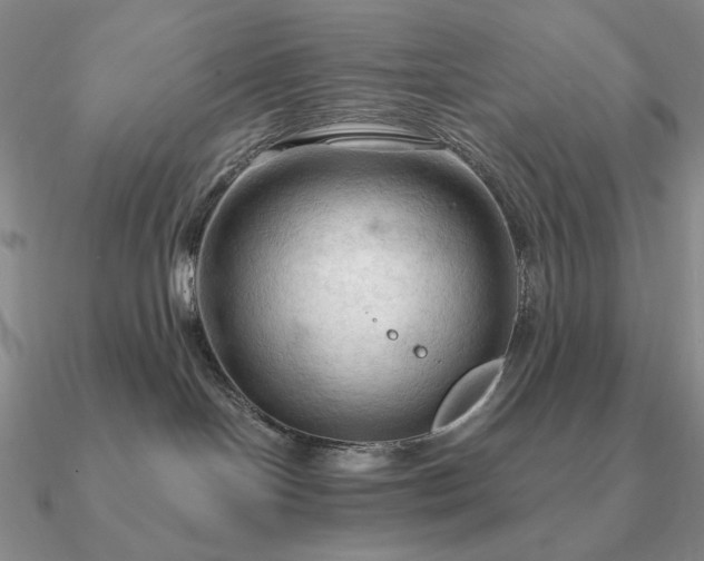 X0000090910094200708061531