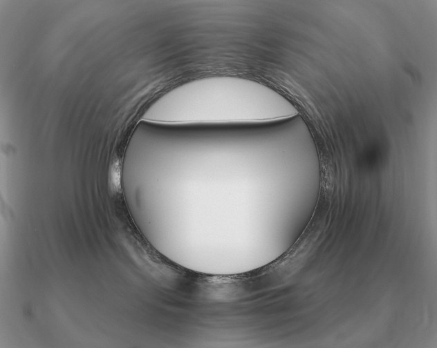 X0000090910095200708061531