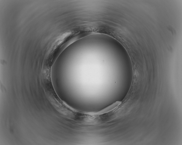 X0000090910096200708061531