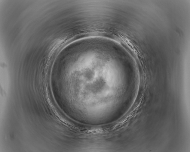 X0000090910097200708061530