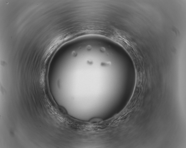 X0000090910098200708061530