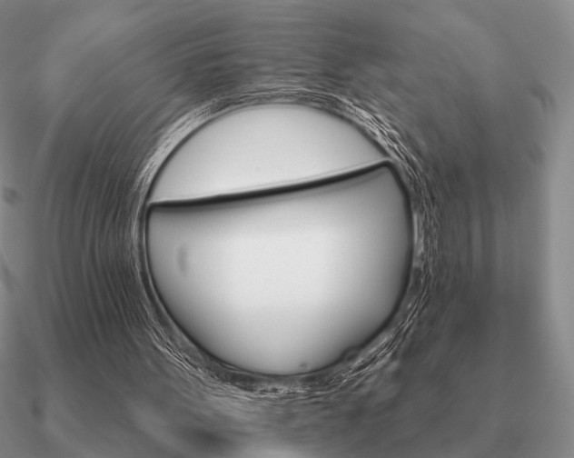 X0000090910099200708061530