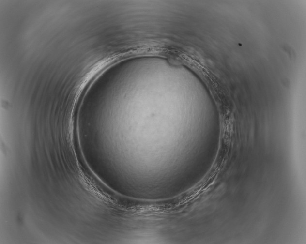 X0000090910100200708061530