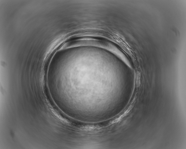 X0000090910101200708061530