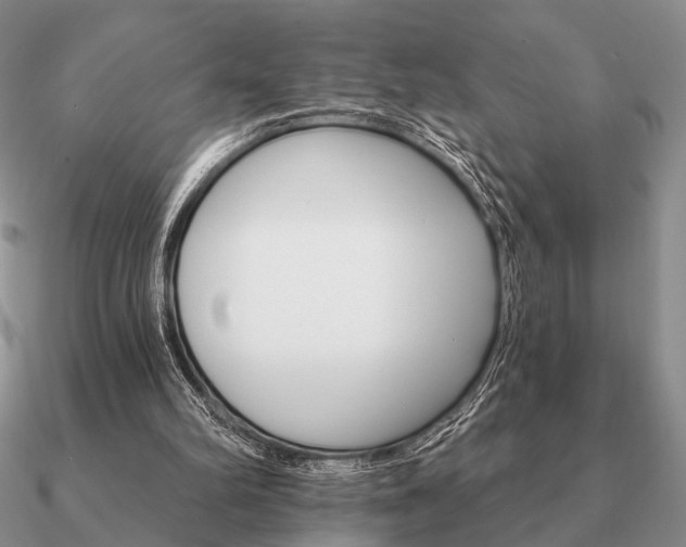 X0000090910102200708061530