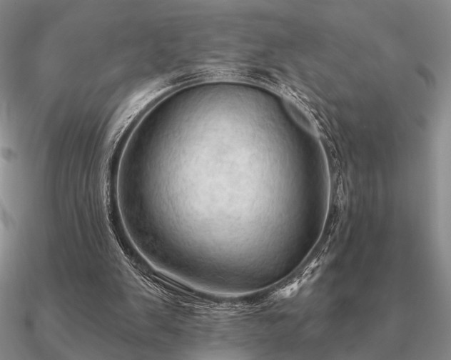 X0000090910103200708061530