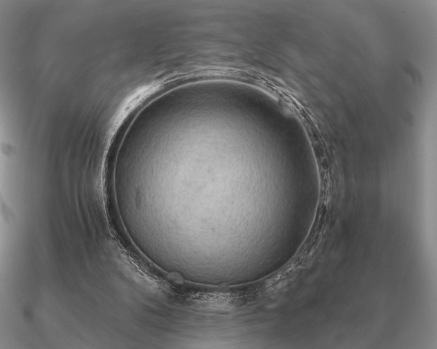 X0000090910104200708061530