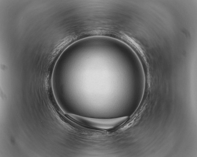 X0000090910105200708061530