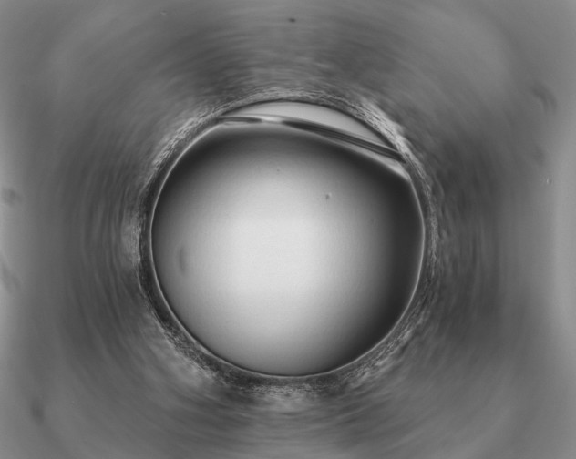 X0000090910106200708061530