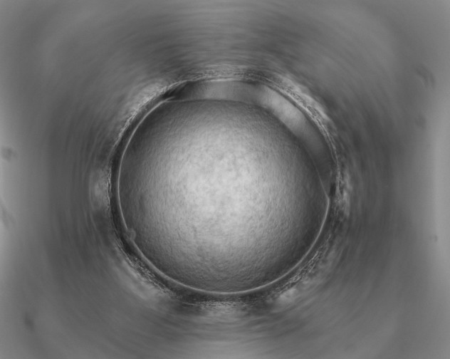 X0000090910107200708061530